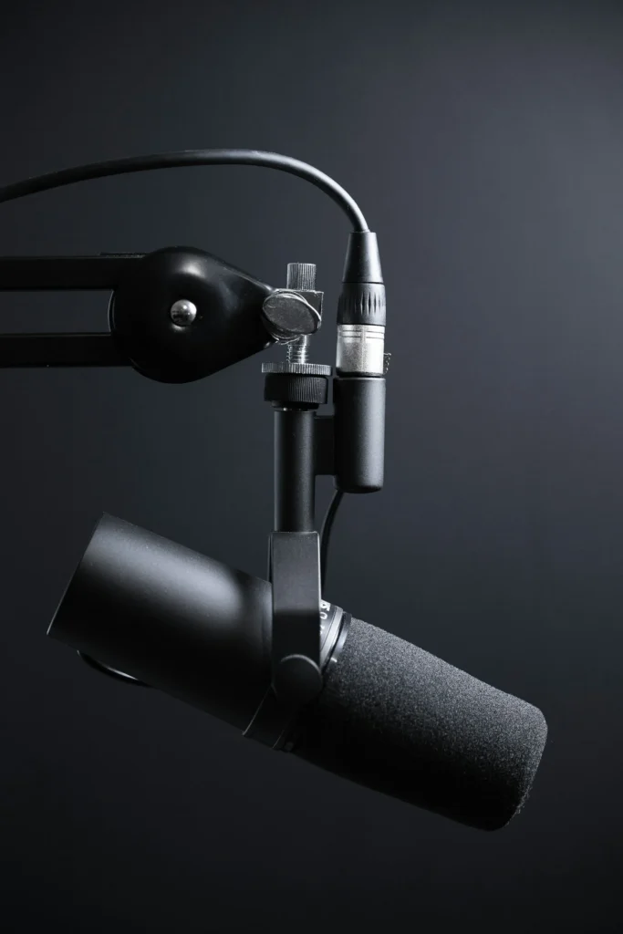 A close-up of an XLR microphone.